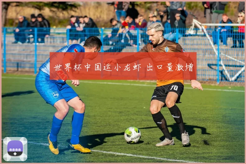 世界杯中国运小龙虾 出口量激增