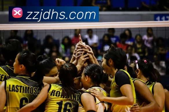 EMC易倍(官方网站)中国大陆 - 科技有限公司平台生态图